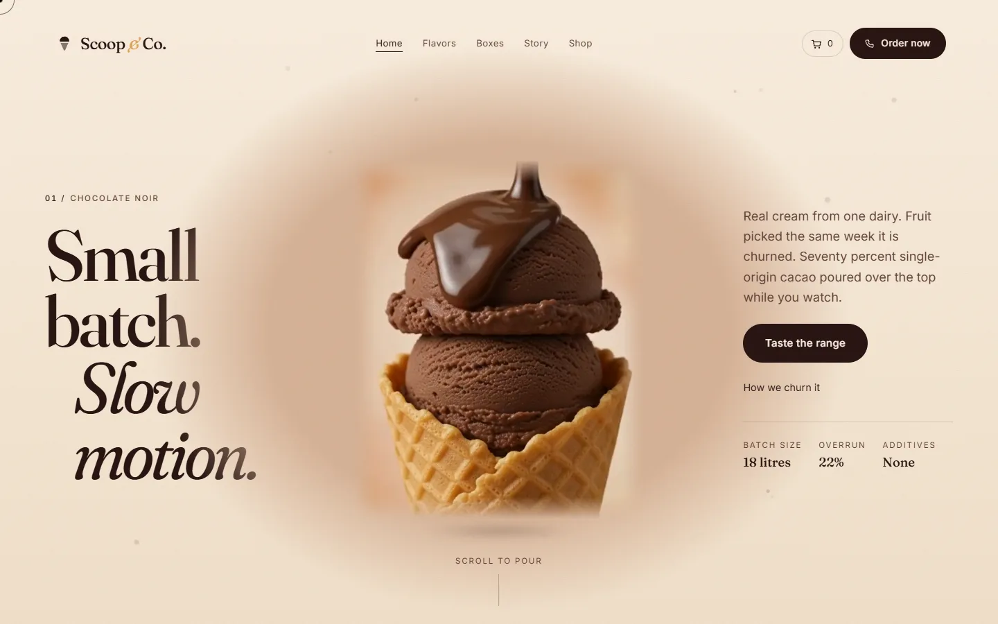 Premium ice cream brand, home page